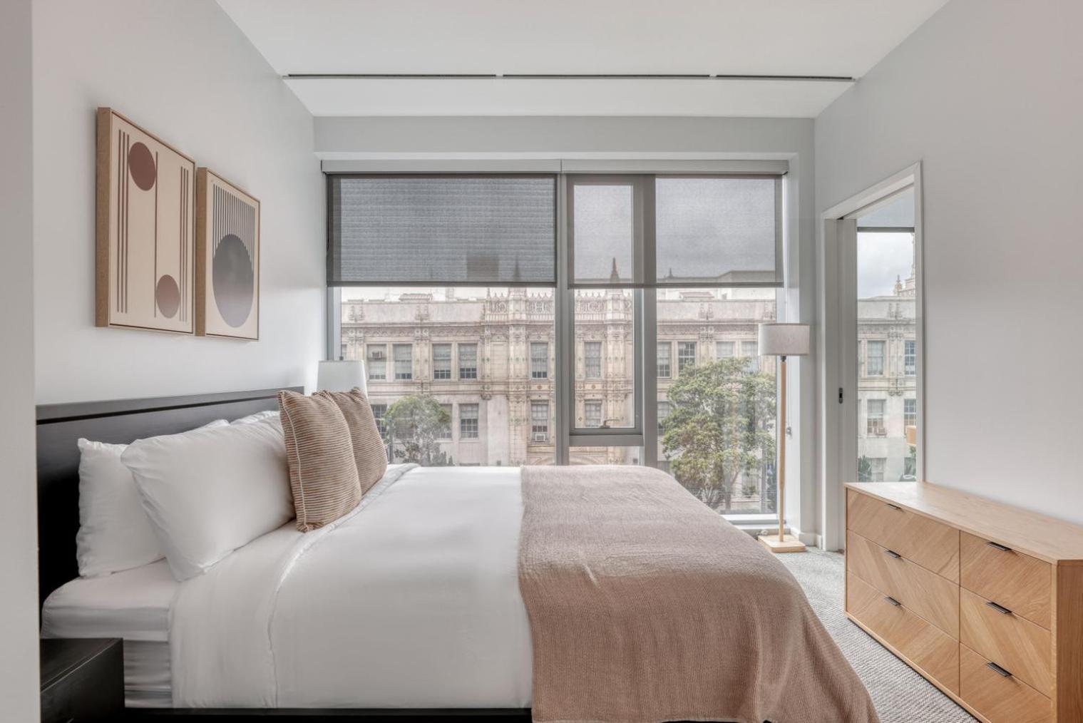 Apartment Soma 2br W Pet Gym On-site Yoga Sfo-1479 San Francisco